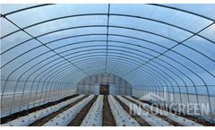 Insongreen - Freestanding Greenhouse