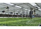 Insongreen - Greenhouse Irrigation System