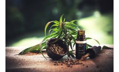 Cannabinoids Service