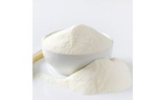 Skimmed Milk Powder