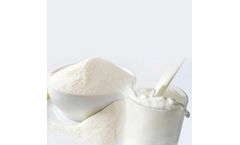 Whey Protein Concentrate 70% (WPC)