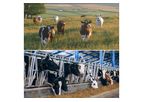 Sveaverken - Model MooCollar S2 - Cow Collar for Positioning and Activity Monitoring
