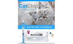 CatChip Just for Cats