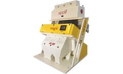 Apple - Model Magic - Raisin Color Sorter