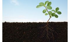 Plant Microbiome for Nematode
