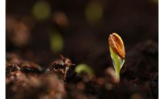 Plant Microbiome for Abiotic Stress