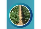 Moon Biotech - Plant Microbiome