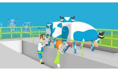 Armenta APT non-antibiotic mastitis treatment - Video