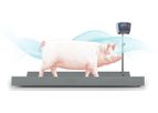 Model Control Pig - Control of Pig in Motion