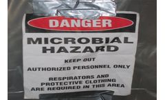 Mold Services