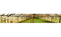 Coco Peat Products for Nursery Suppliers