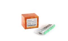 pEASY - Model CE111-01 - Blunt E1 Expression Kit