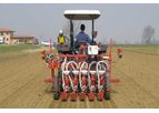 SEEDS Development Service