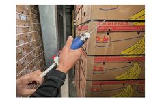 Catalytic Generators - Ethylene Testing Device