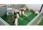 PigScale - Weighing Scale Measuring and Recording Machine