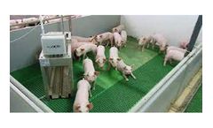 PigScale - Weighing Scale Measuring and Recording Machine