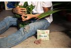 Model PCT520 - Organic Fertilizers With Soil Improvers for Potted Plants