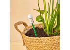 Model PCT300 - Plant Thirsty Light