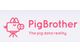 PigBrother