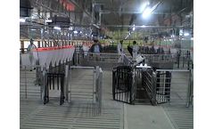 Auto Sorting Scale