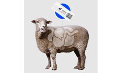 Model JS0050 - Smart Rumen Bolus for Sheep Monitoring