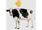 Model LoRaWAN - Cattle Leg Tag