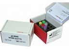 GENERI BIOTECH - Model gb HEMO MTHFR (C677T) - IVD Kit for Thrombophilic Mutations