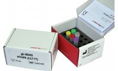 GENERI BIOTECH - Model gb HEMO MTHFR (C677T) - IVD Kit for Thrombophilic Mutations