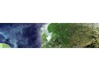 Digital Delta