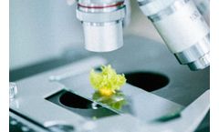 Comex - Research and Development Services