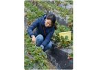 Smart - Farm Management Software