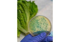 Smart - Food Safety and Recall Management Database Software