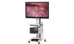 IKEDA - 55 inch 4K Medical Endoscope Monitor