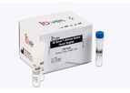 Innovative diagnostics - Model ID Gene - African Swine Fever Duplex