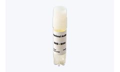 Innovative diagnostics - BHV-4 monoclonal antibody