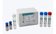 Innovative diagnostics - DI SARS-COV-2 REST DUPLEX (CE-IVD)