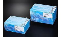 ExtraGene - Microcentrifuge Tubes 0.5ml
