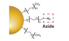 Model Azide - Gold Nanoparticles
