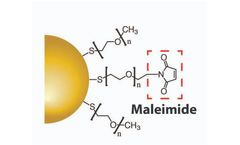 Model Maleimide - Gold Nanoparticles