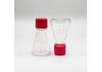 Erlenmeyer Flask