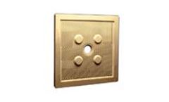 Micronics - Recessed Filter Plates