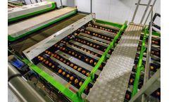 Tong - MAF RODA Potato and Onion Optical Sorting