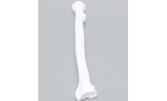 Sawbones - Model 1005-3 - Radius, Solid White Plastic, Left