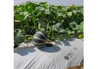 Parth - Agricultural  Mulching Film