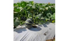 Parth - Agricultural  Mulching Film