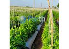 Parth - Agriculture Plastic Wire