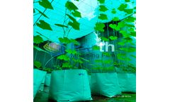 Parth - Grow Bags