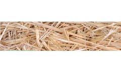 EroNet - Model S150 - Erosion Control Blanket