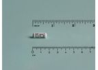 Model DST nano-T - World‘s Smallest Animal Implantable Temperature Logger