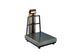 Scaletec Platform Weighing Scales Kampala